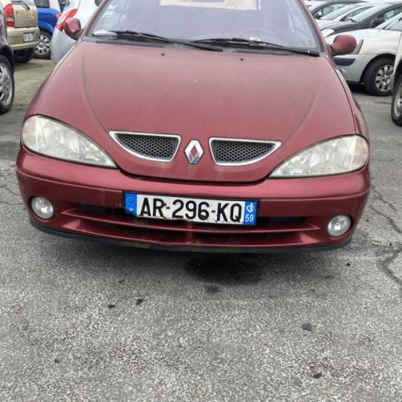 Porte avant gauche RENAULT MEGANE 1 Photo n°12