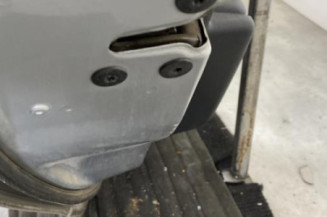 Porte arriere gauche RENAULT MEGANE 3