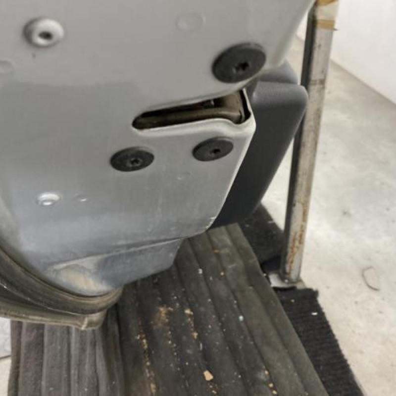 Porte arriere gauche RENAULT MEGANE 3 Photo n°3