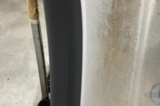 Porte arriere gauche RENAULT MEGANE 3