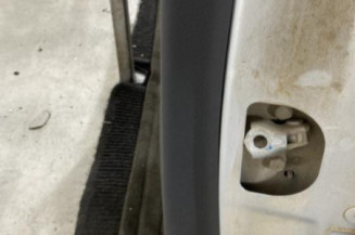 Porte arriere gauche RENAULT MEGANE 3