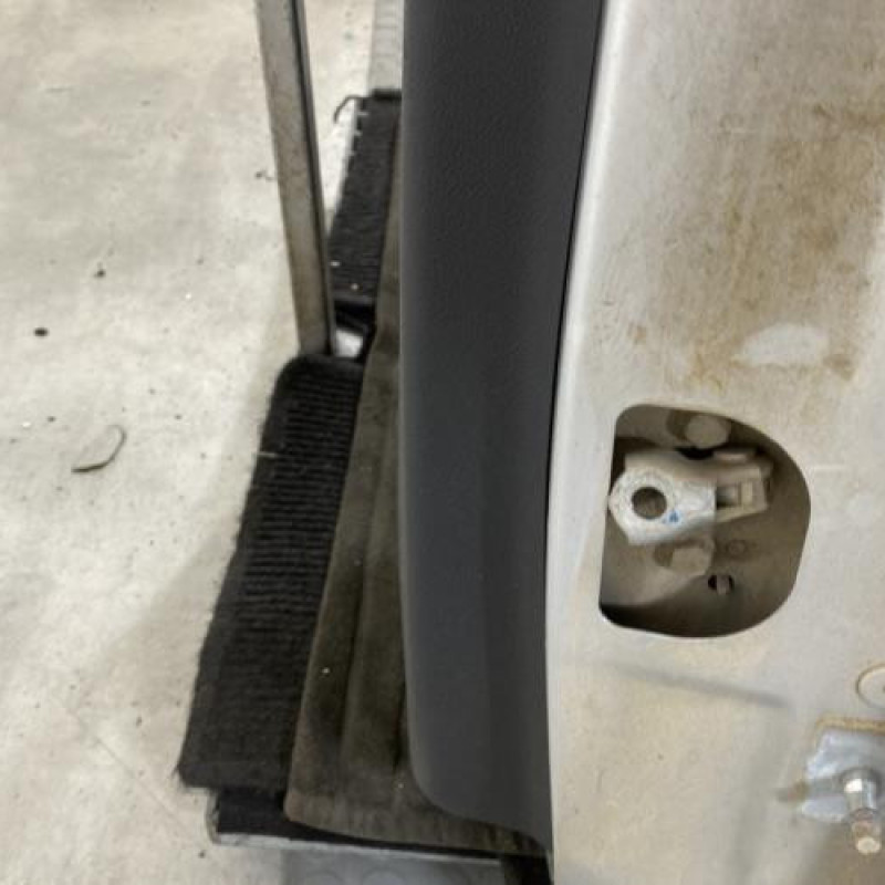 Porte arriere gauche RENAULT MEGANE 3 Photo n°5