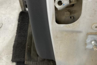 Porte arriere gauche RENAULT MEGANE 3