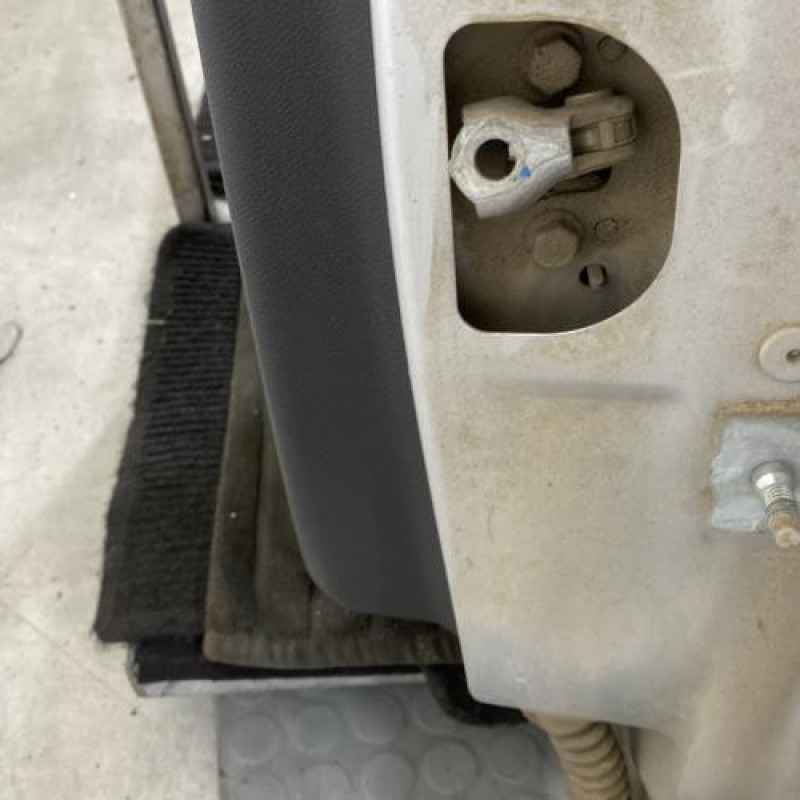 Porte arriere gauche RENAULT MEGANE 3 Photo n°6