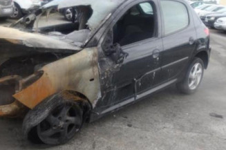 Feu arriere principal droit (feux) PEUGEOT 206+