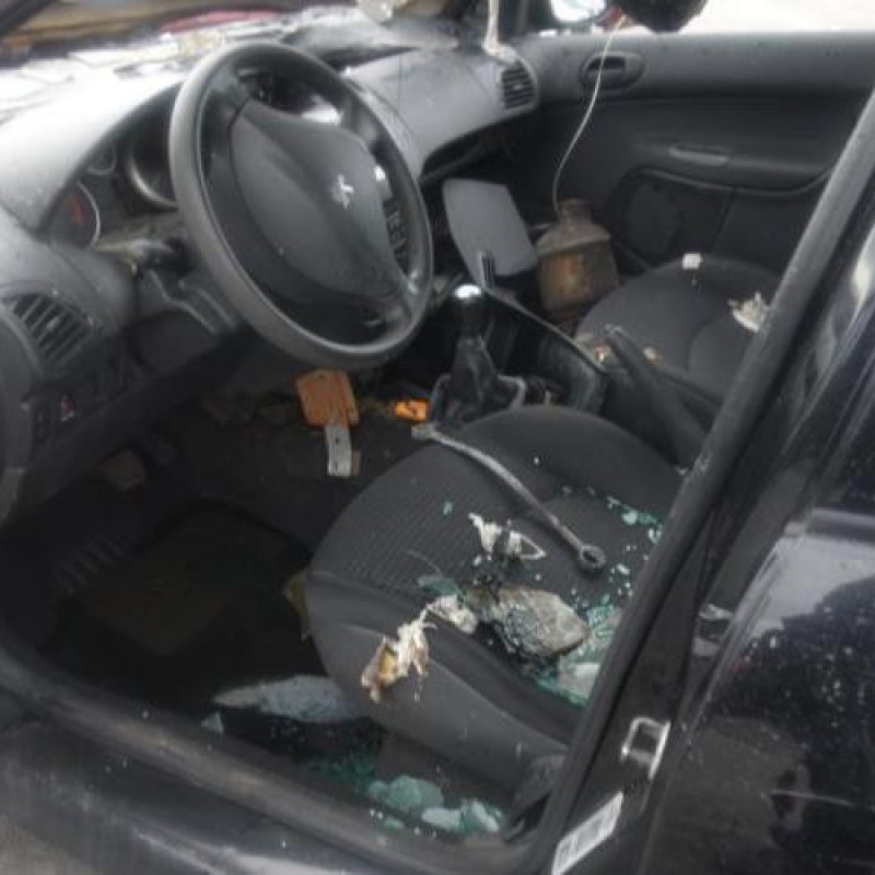 Feu arriere principal droit (feux) PEUGEOT 206+ Photo n°8