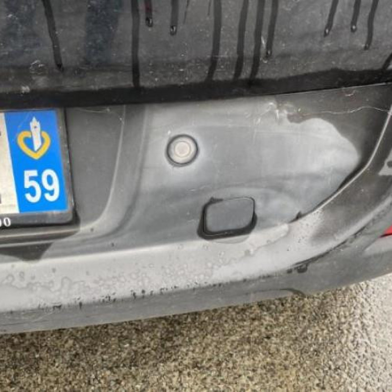 Porte arriere gauche PEUGEOT 3008 1 Photo n°14