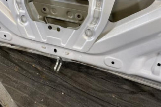 Malle/Hayon arriere BMW SERIE 3 F31