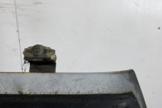 Malle/Hayon arriere RENAULT R11