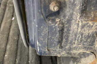 Porte arriere gauche RENAULT R11