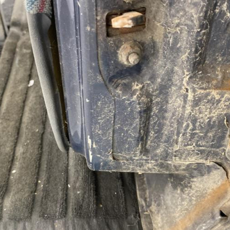 Porte arriere gauche RENAULT R11 Photo n°6