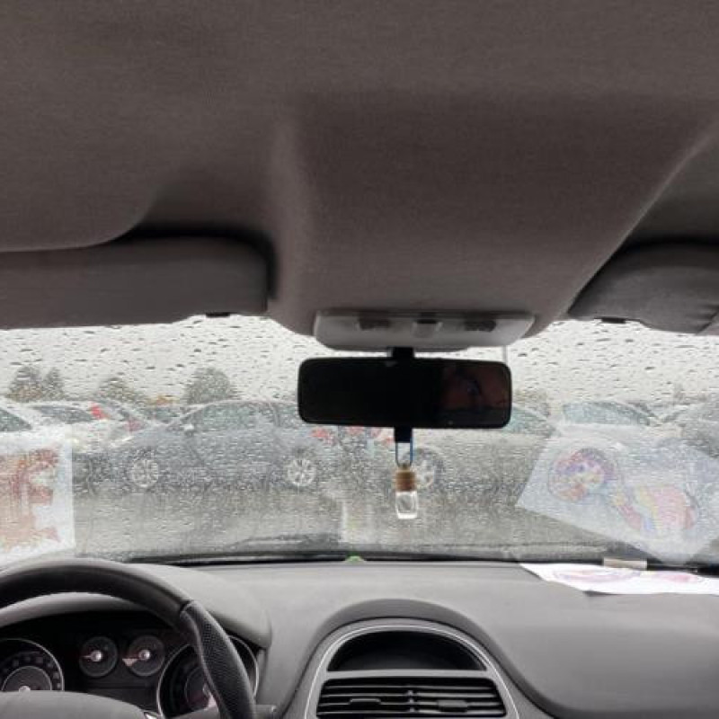 Bouton de warning FIAT PUNTO EVO 3 Photo n°13