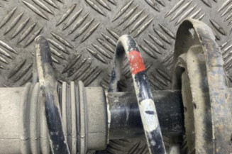 Amortisseur avant droit NISSAN MICRA 3