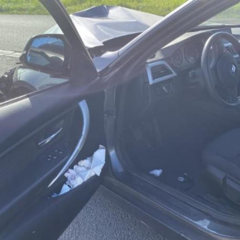Custode arriere gauche (porte) BMW SERIE 3 F30/F80 Photo n°13