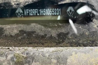 Pedale d'accelerateur RENAULT CAPTUR 1