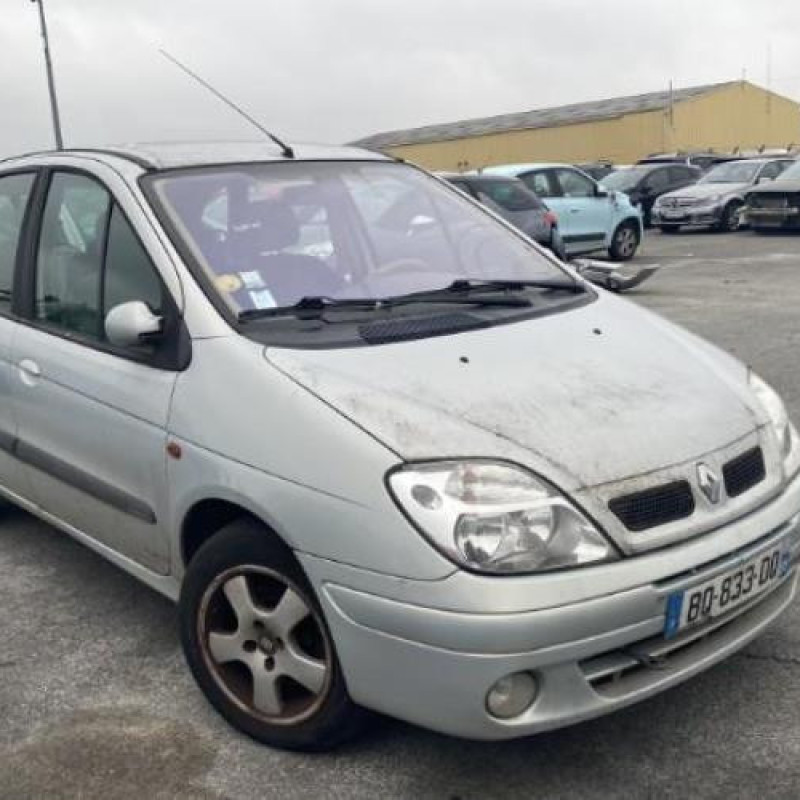 Poignee porte avant gauche RENAULT SCENIC 1 Photo n°6