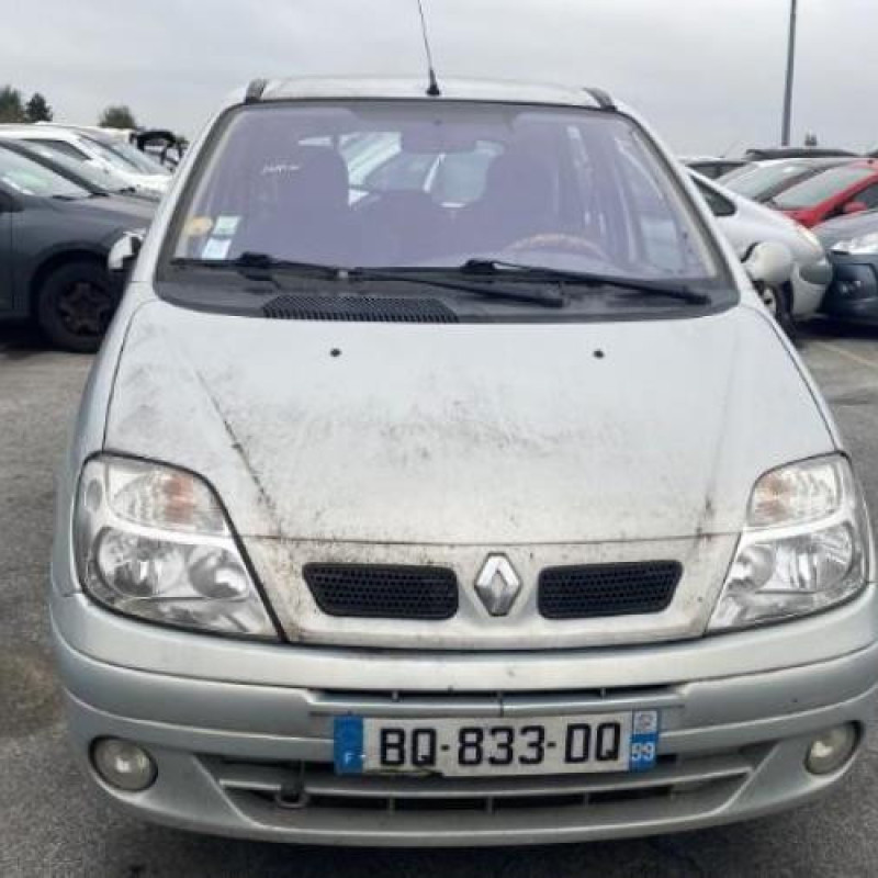 Poignee porte avant gauche RENAULT SCENIC 1 Photo n°12