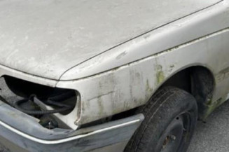 Poignee porte avant gauche PEUGEOT 405