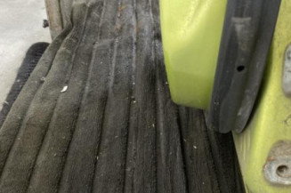 Porte arriere gauche FORD FIESTA 6