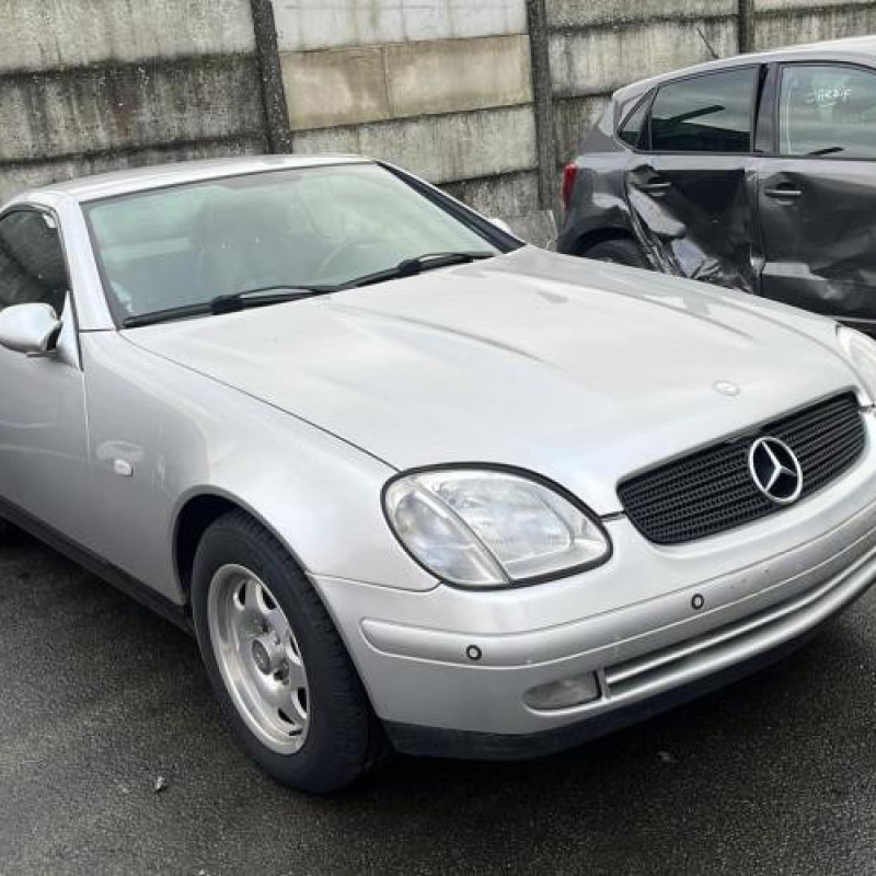 Porte avant droit MERCEDES CLASSE SLK 170 Photo n°9