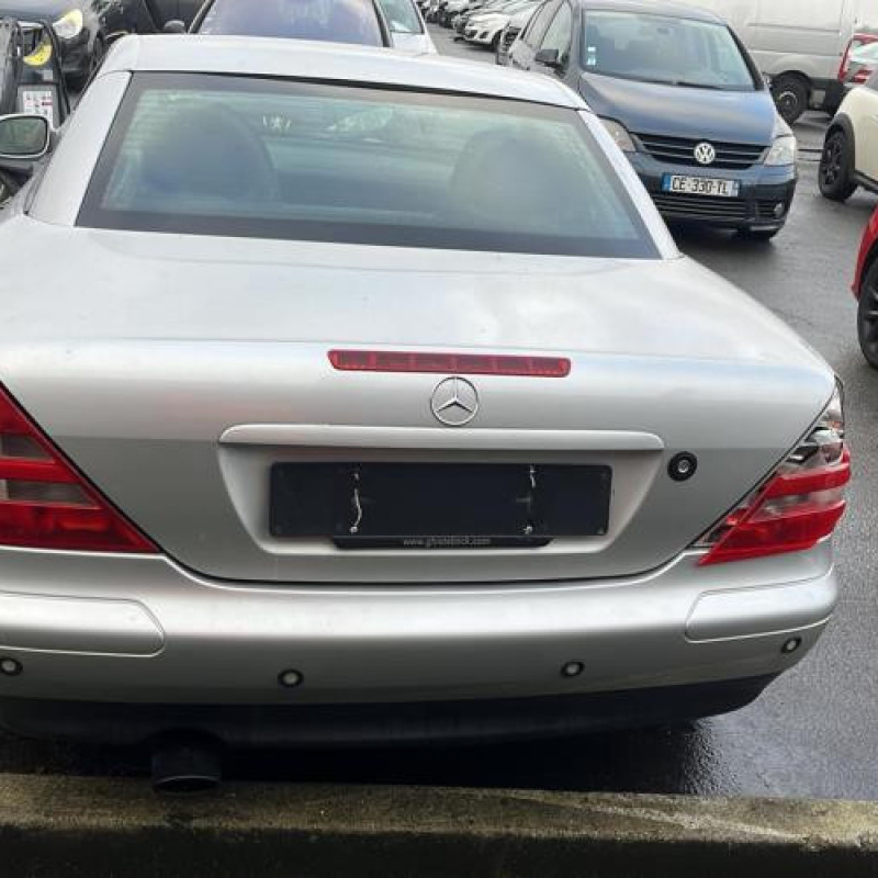 Porte avant droit MERCEDES CLASSE SLK 170 Photo n°12