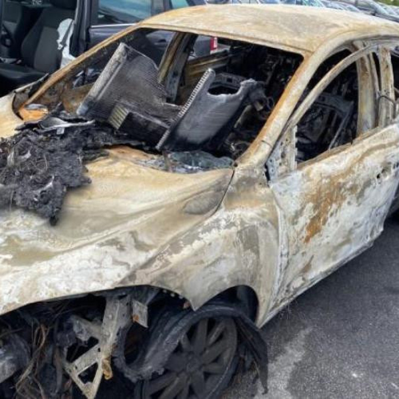 Etrier arriere droit (freinage) RENAULT MEGANE 3 Photo n°7