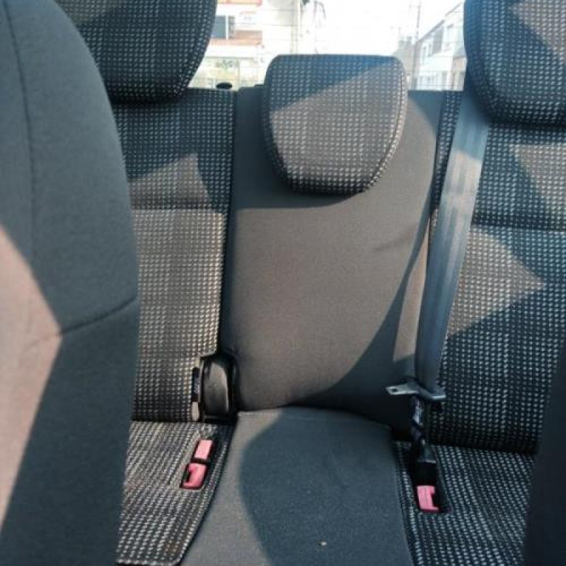 Porte arriere droit RENAULT MODUS Photo n°13