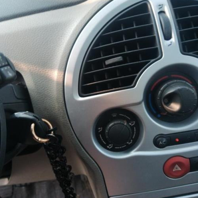 Porte arriere droit RENAULT MODUS Photo n°16
