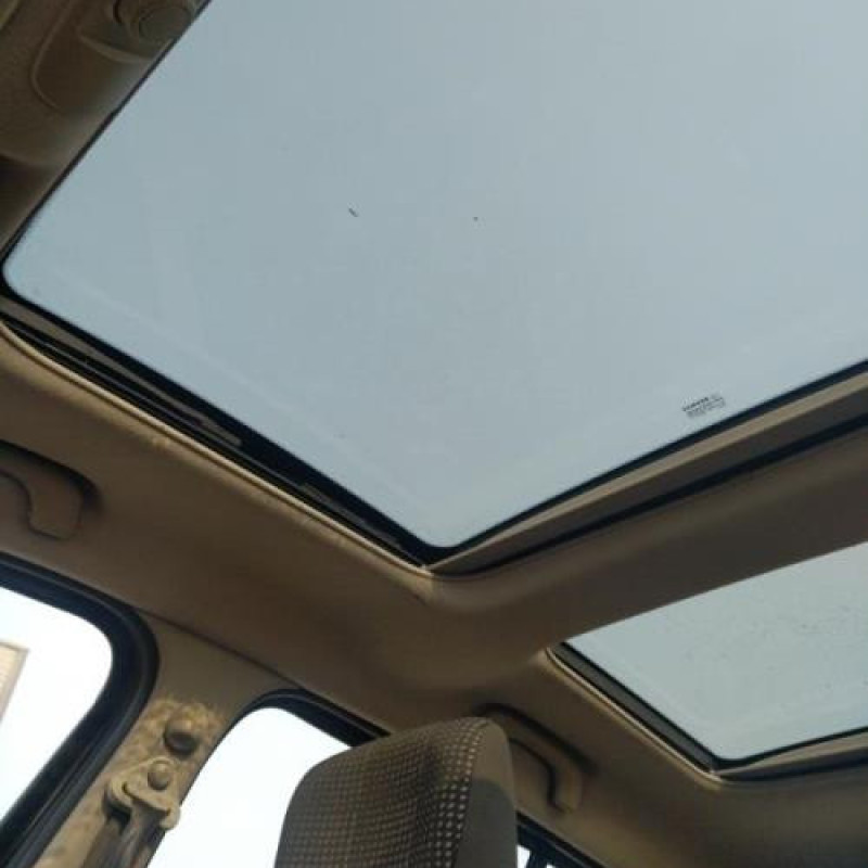 Porte arriere droit RENAULT MODUS Photo n°18