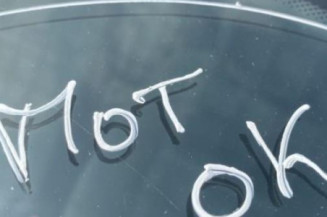 Porte arriere droit RENAULT MODUS