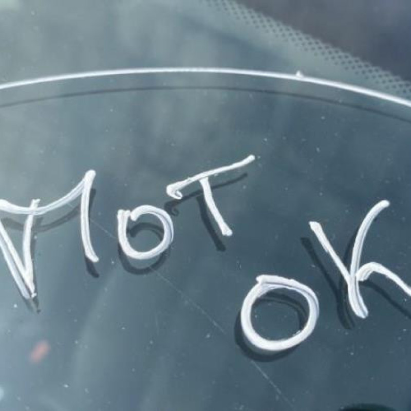 Porte arriere droit RENAULT MODUS Photo n°19