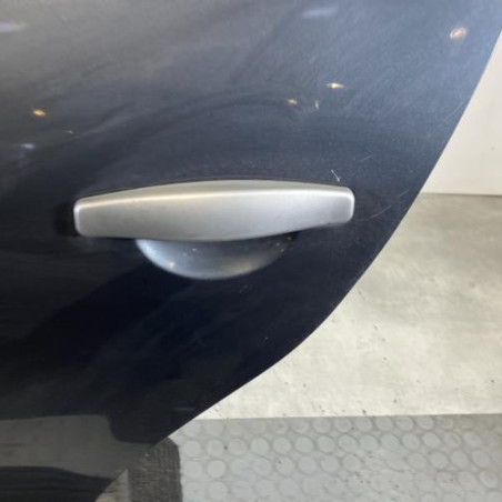 Porte arriere gauche DACIA SANDERO 1