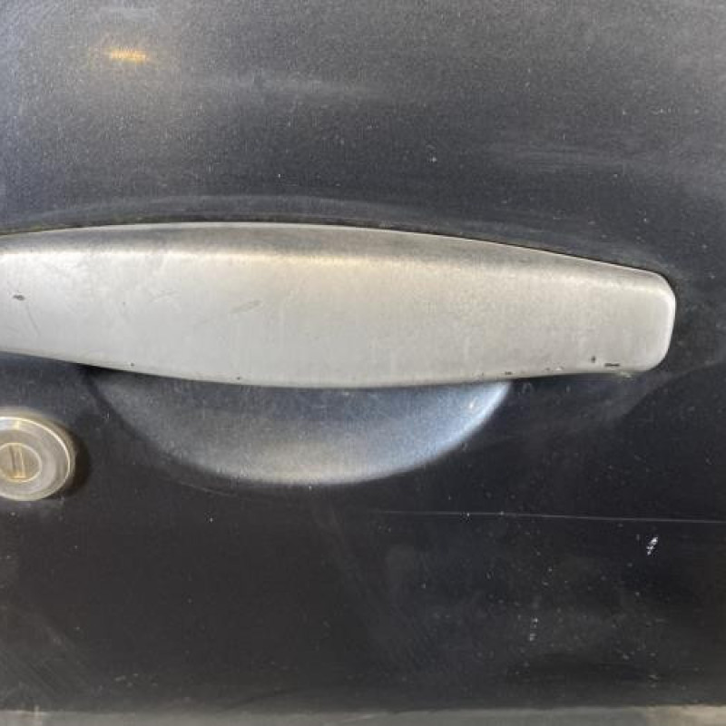 Porte avant droit DACIA SANDERO 1 Photo n°2