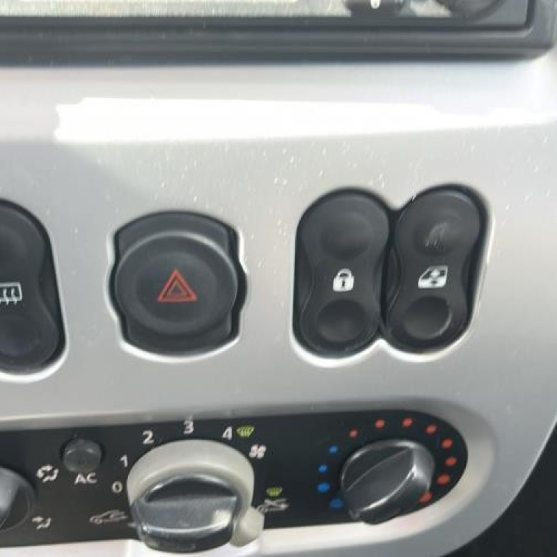 Porte avant droit DACIA SANDERO 1 Photo n°15