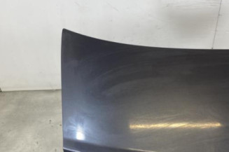 Malle/Hayon arriere AUDI A6 3