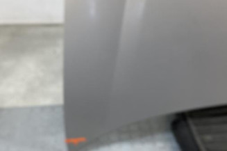 Capot CITROEN BERLINGO 1