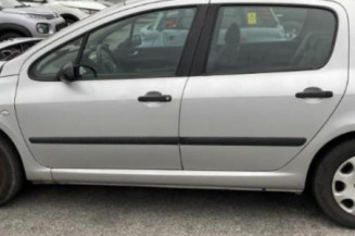 Retroviseur droit PEUGEOT 307
