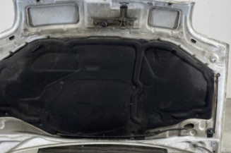 Capot RENAULT CLIO 2