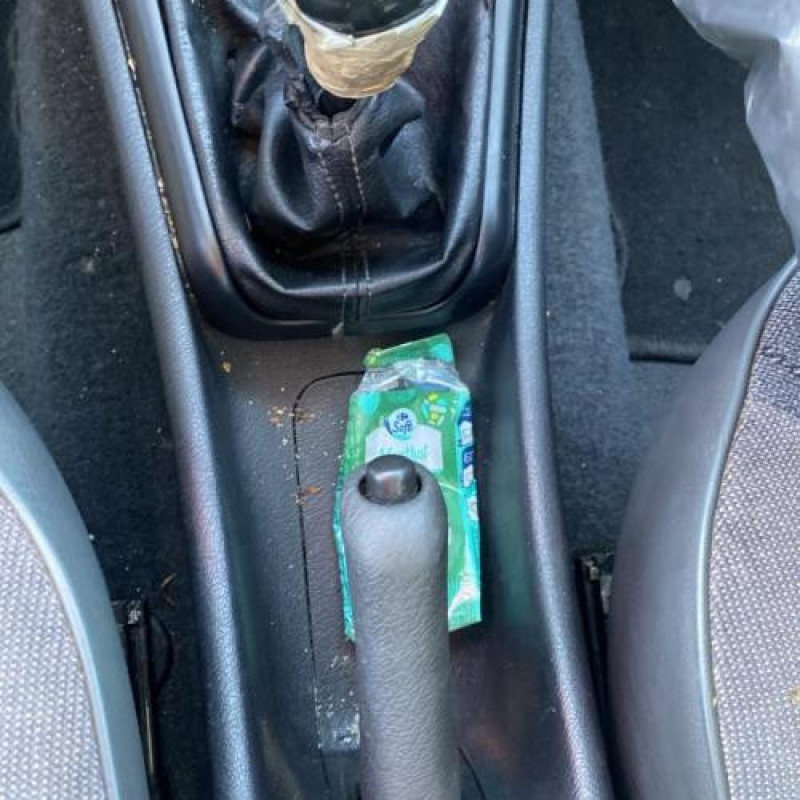Etrier arriere droit (freinage) CITROEN XSARA Photo n°19