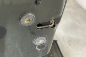Porte arriere gauche CITROEN C4 1