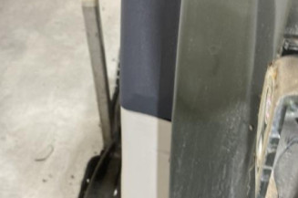 Porte arriere gauche CITROEN C4 1