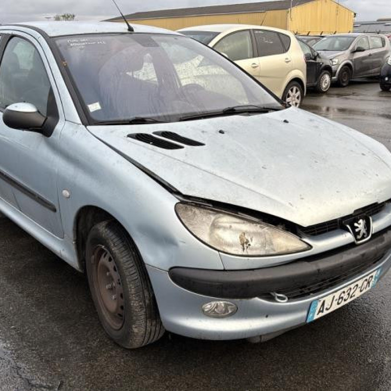 Porte arriere droit PEUGEOT 206 Photo n°8