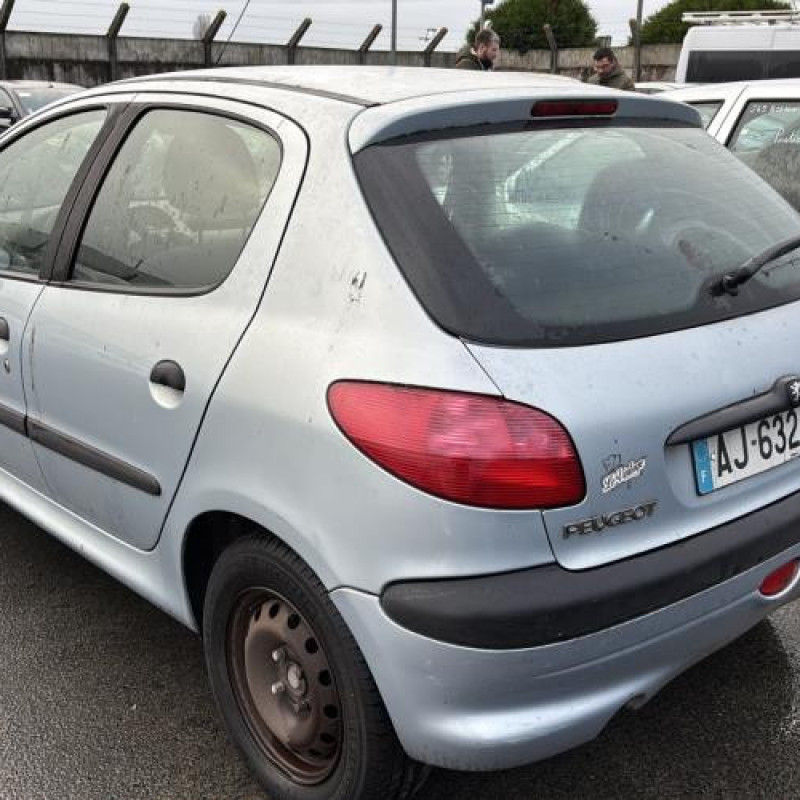 Porte arriere droit PEUGEOT 206 Photo n°10