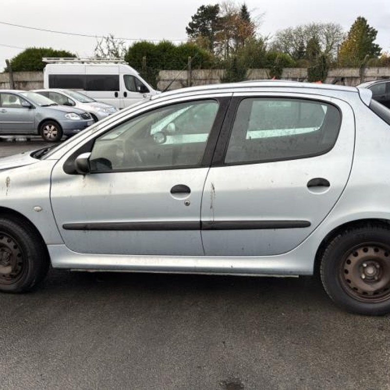 Porte arriere droit PEUGEOT 206 Photo n°12