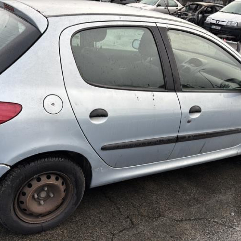 Porte arriere droit PEUGEOT 206 Photo n°13
