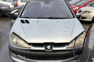 Porte arriere droit PEUGEOT 206