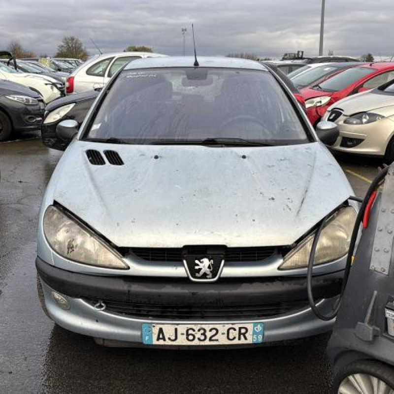 Porte arriere droit PEUGEOT 206 Photo n°14