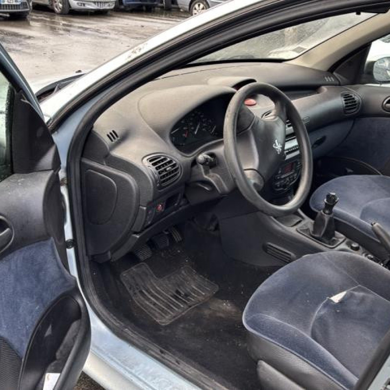 Porte arriere droit PEUGEOT 206 Photo n°15