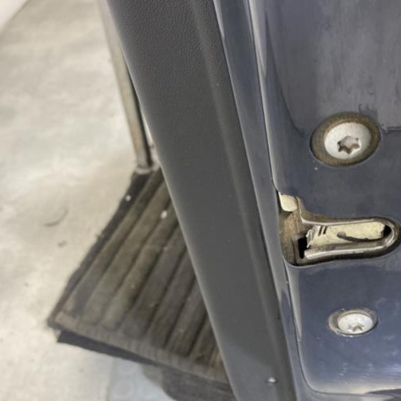 Porte avant droit FIAT PUNTO EVO 3 Photo n°3