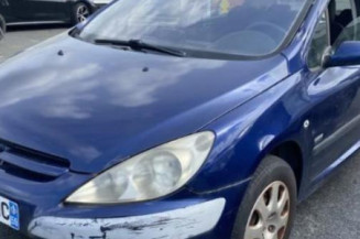 Ecran GPS PEUGEOT 307